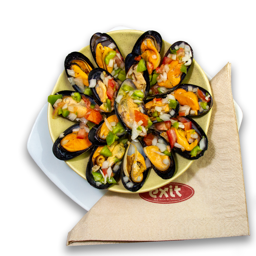 PLATOS-MEJILLONES TRANS